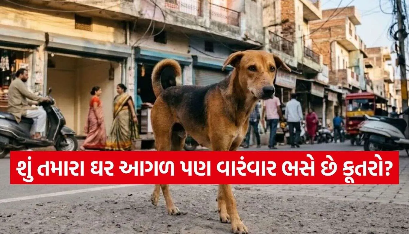 Dog Barking