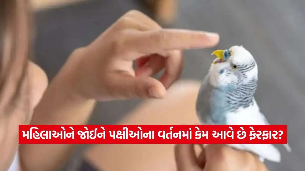 Birds2.jpg