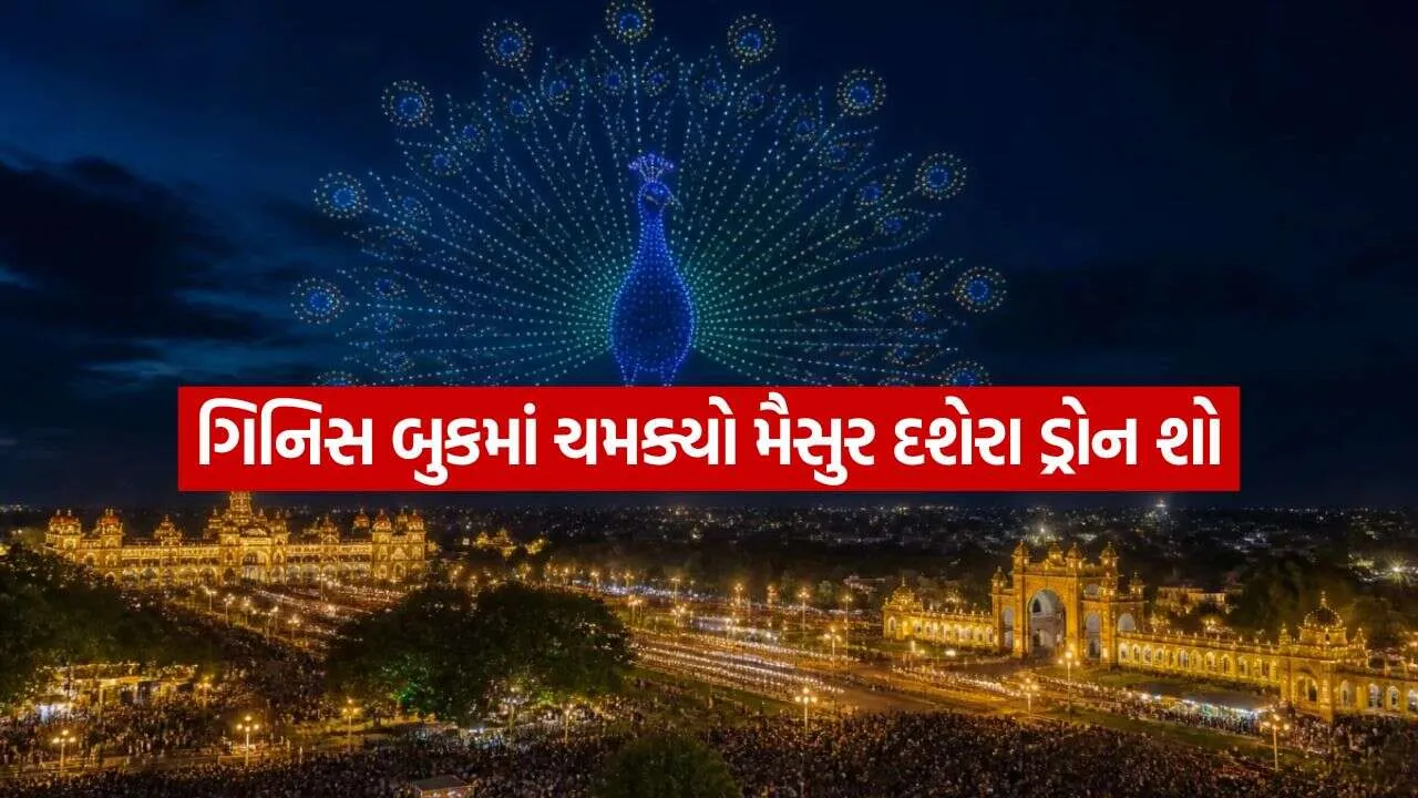 Mysuru Dasara drone show 2410.jpg