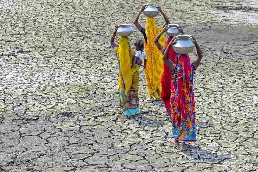 દ્વારકા, પોરબંદર, કચ્છ અને જામનગરના ખેડૂતો માટે રાહત: સરકારે કરી પ્રતિ હેક્ટર ₹8,500ની સહાયની જાહેરાત! 3 gujarat.jpg