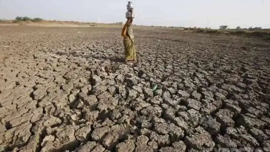 દ્વારકા, પોરબંદર, કચ્છ અને જામનગરના ખેડૂતો માટે રાહત: સરકારે કરી પ્રતિ હેક્ટર ₹8,500ની સહાયની જાહેરાત! 2 gujarat1.jpg