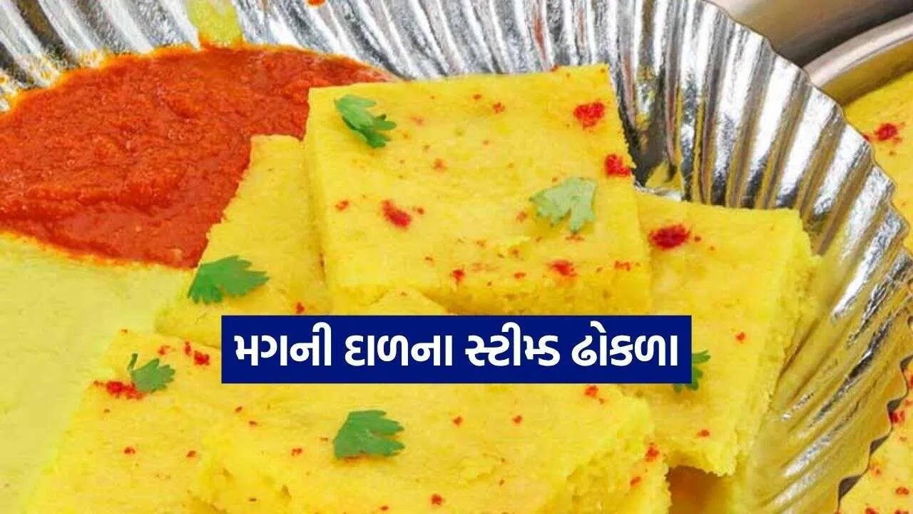 Moong Dal Dhokla 2610.jpg