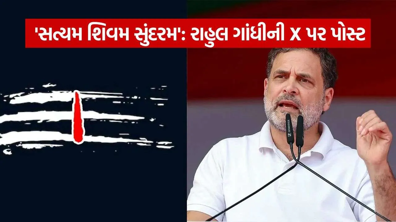 Rahul Gandhi 2610.jpg