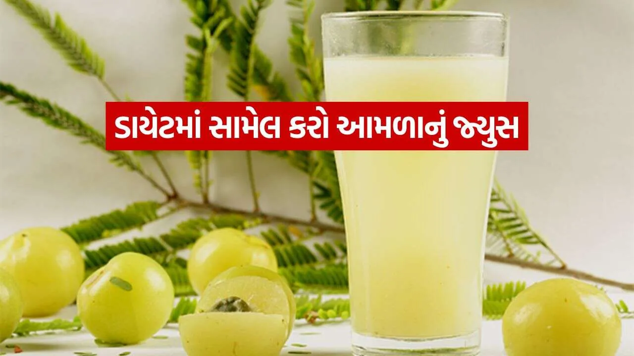 Amla Juice 2810.jpg