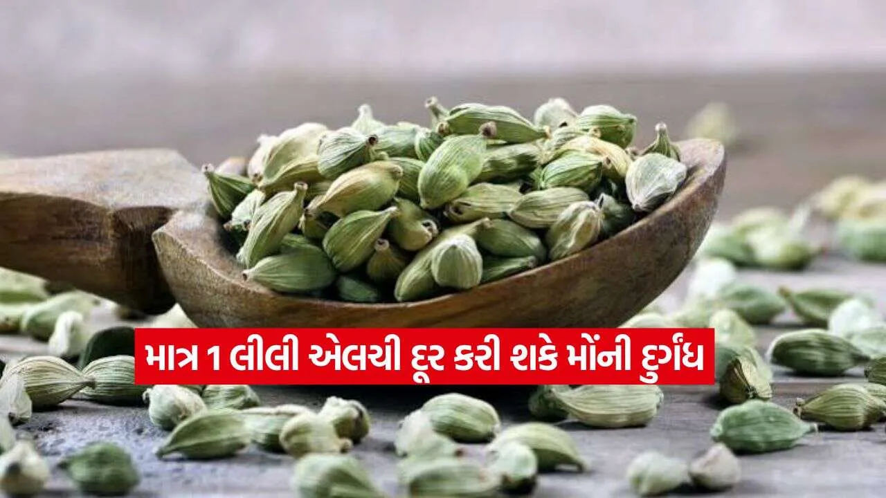 Green Cardamom Benefits2.jpg