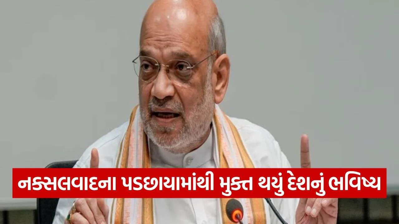 Amit shah 3110.jpg