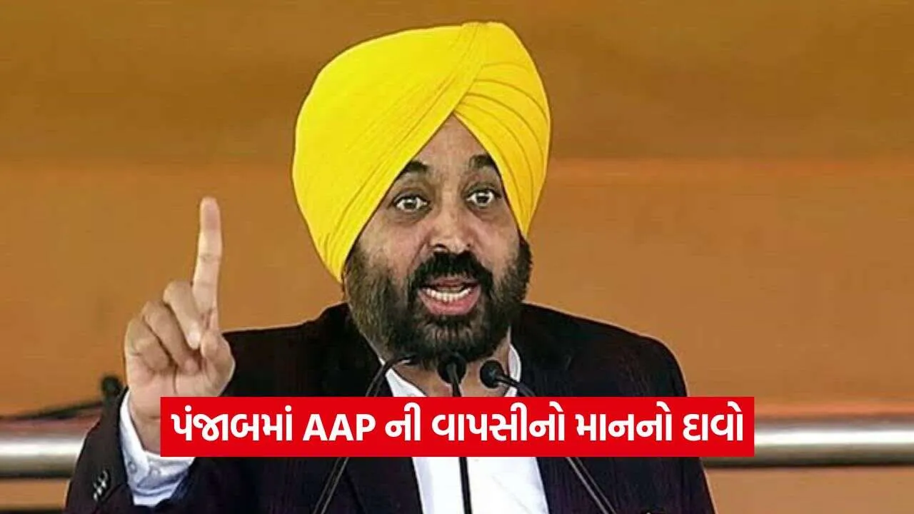 AAP11.jpg